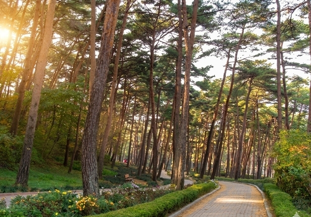 충남도 자연휴양림 13곳  '단풍철' 휴양객 맞이 준비 마쳐