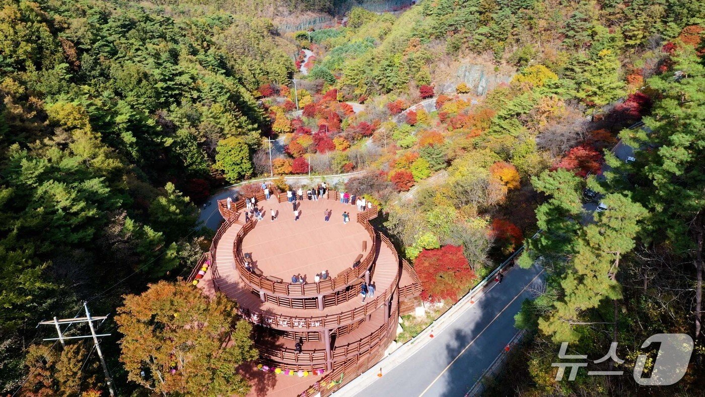 본문 이미지 -  해발 540m에 자리한 충북 단양군 보발재는 산허리를 따라 구불구불 이어지는 도로다. 보발재 전망대에 오르면 물들어가는 단풍을 감상할 수 있다.(단양군 제공. 재판매 및 DB 금지) 2026.10.27/뉴스1 