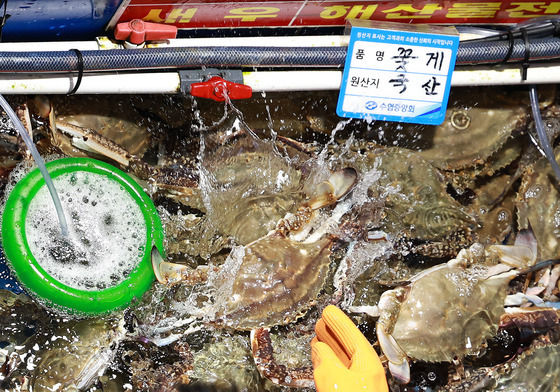 꽃게 가격 2배 '쑥'