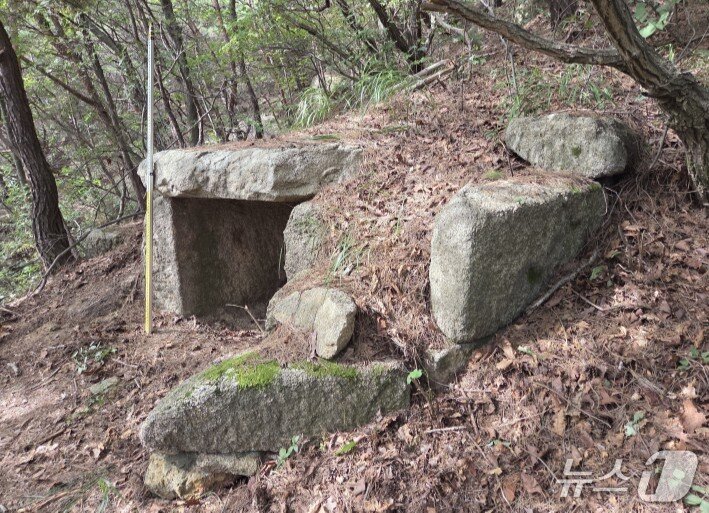 본문 이미지 - 고양 삼천사지 대지국사탑비구역 북쪽 석실분. (고양시 제공. 재판매 및 DB 금지)