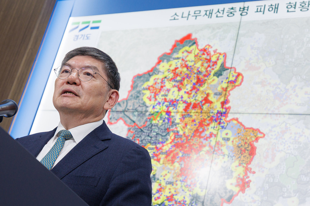 경기도 "재선충병 재난 상황"…피해고사목 11만 6000본