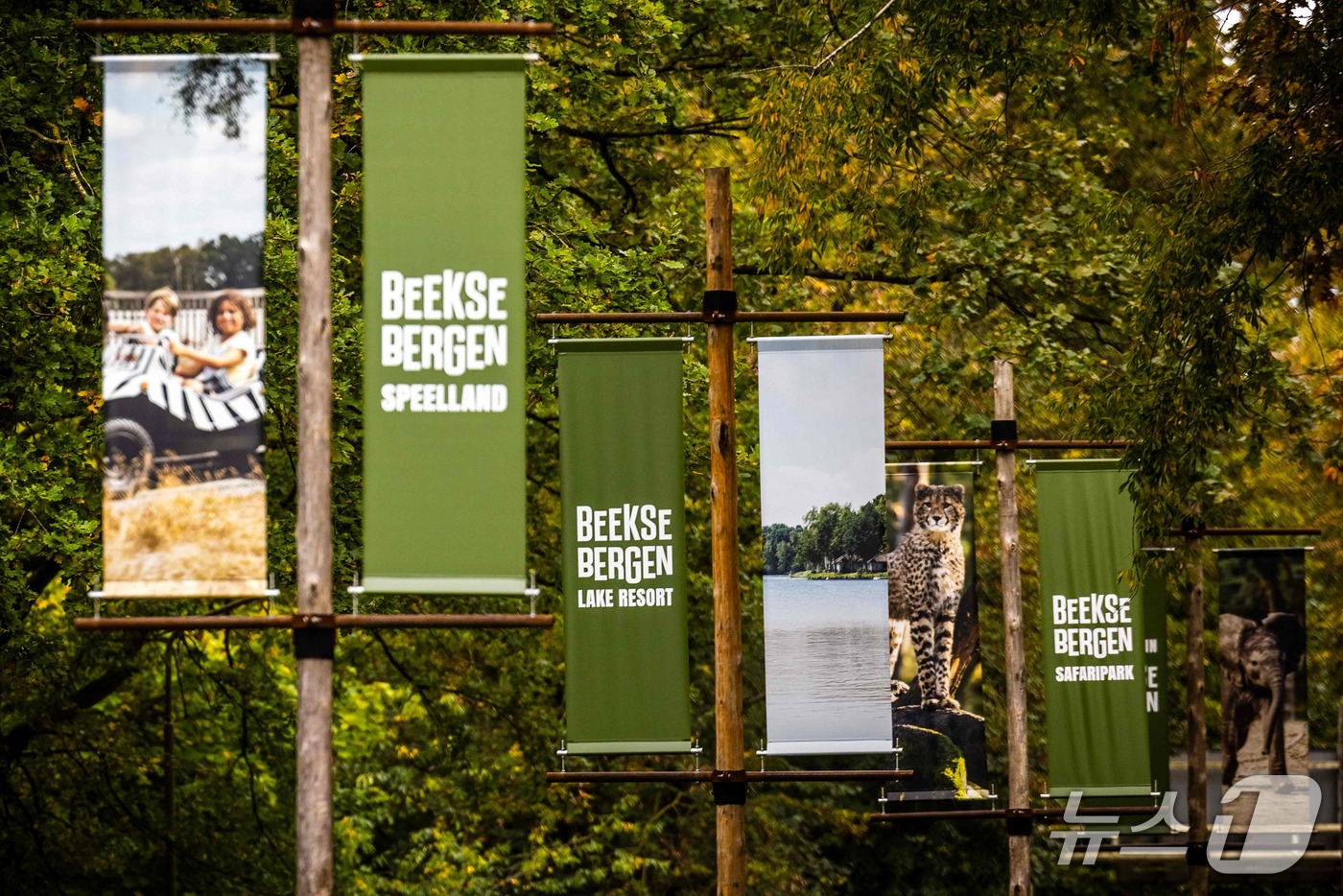(힐바렌벡 AFP=뉴스1) 윤다정 기자 = 27일(현지시간) 네덜란드 힐바렌벡의 베이크서베르헌 사파리파크 입구 모습. 공원 측은 지난 24일 표범 우리에서 공격을 받은 사육사가 숨 …