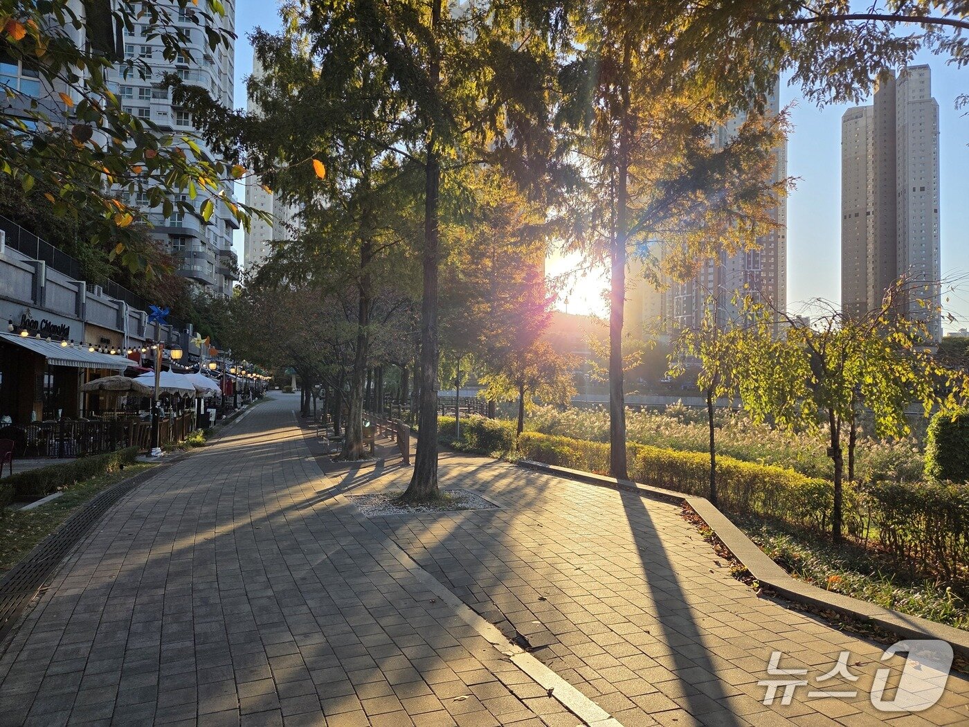 본문 이미지 - 경기 수원시 광교호수공원의 모습. 2026.10.28/뉴스1 ⓒ News1 배수아 기자