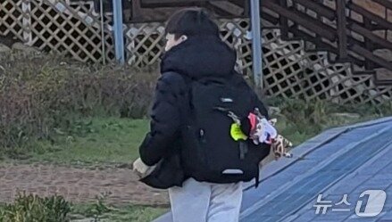 본문 이미지 - 28일 오전 강원 원주시 한 초등학교 주변에서 한 초등학생이 두꺼운 옷차림으로 등교하고 있다. 2026.10.28/뉴스1 신관호 기자