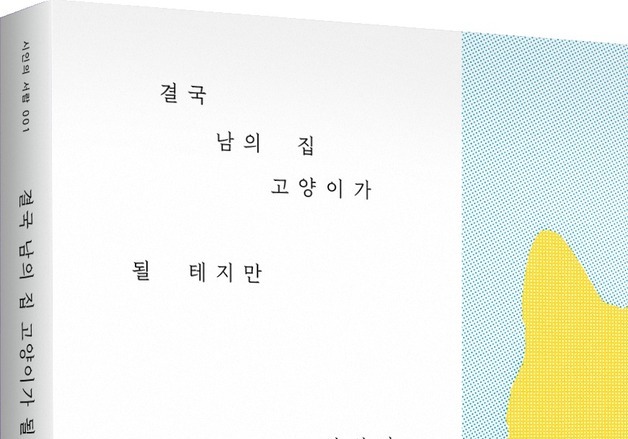 떠날 줄 알면서도 사랑하는 마음…시인 하상만의 고양이 임시보호 일기