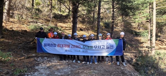 "벌목작업 중대재해 예방"…고용부 태백지청, 합동 점검