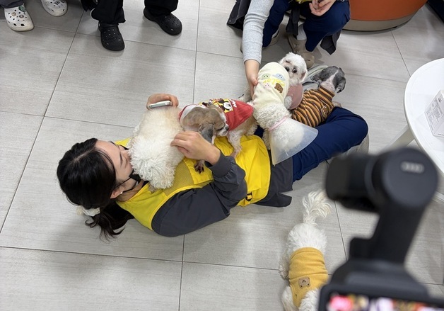 보호견 사진 찍고 퇴역 군견 입양 돕고…본동물의료센터 봉사활동