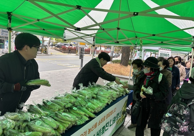 강원농협, 목요장터서 오이 나눔 행사…농산물 소비 촉진