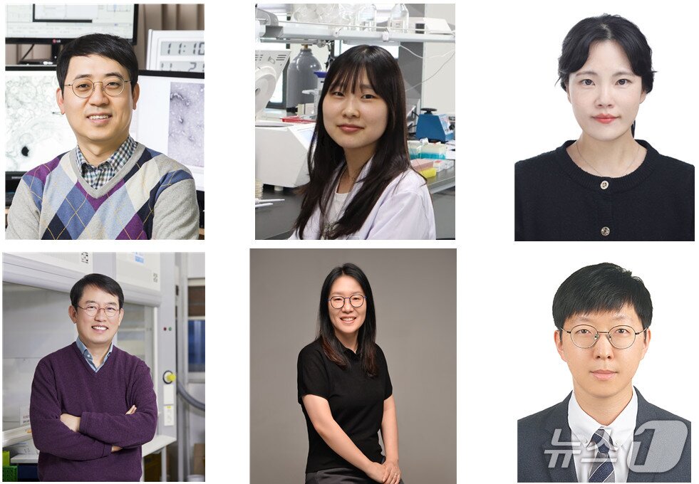 본문 이미지 - KAIST-토르 테라퓨틱스 공동연구진(KAIST 제공) /뉴스1