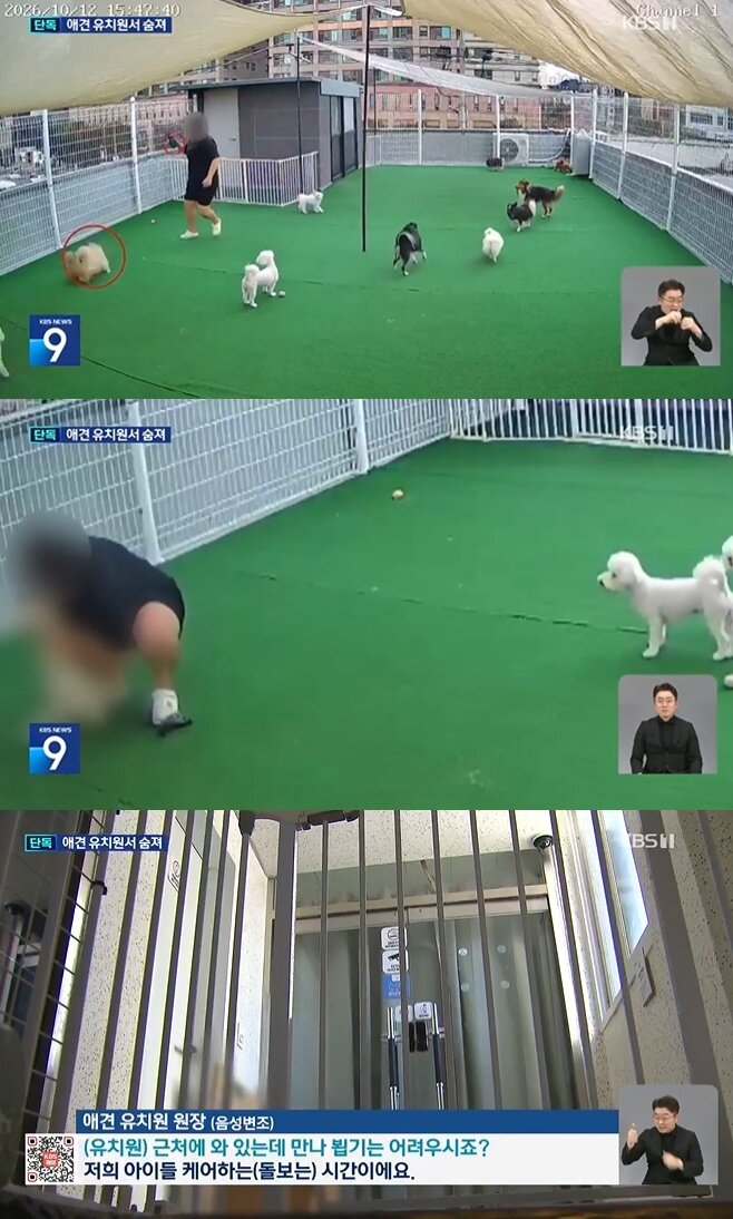 본문 이미지 - KBS 갈무리