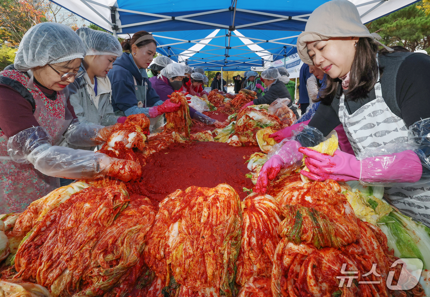 (대전=뉴스1) 김기태 기자 = 29일 대전 서구 샘머리공원에서 민주평화통일자문회의 대전서구협의회 회원들이 이웃사랑 김장 나눔 행사를 하고 있다.북한이탈주민의 안정적 정착을 돕고 …