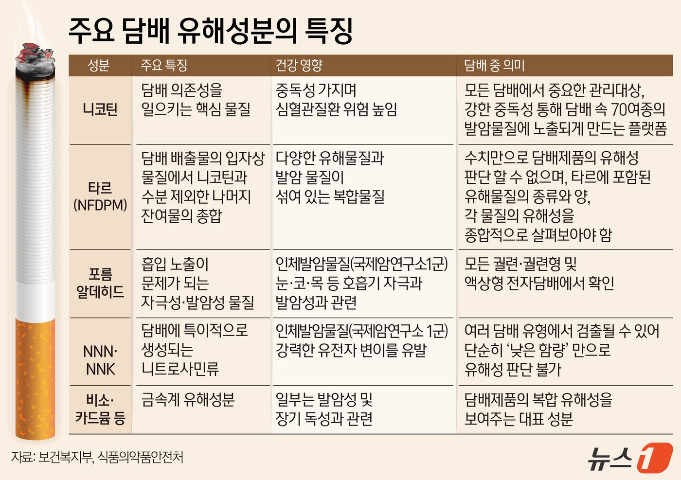 본문 이미지 - ⓒ 뉴스1 김지영 디자이너
