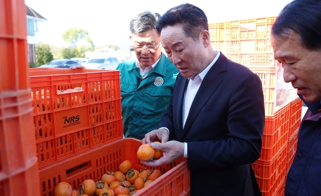 "가격 하락·농가 부담 막자"…청도군, 청도반시 소과 500톤 수매