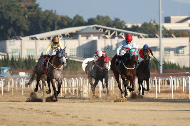 렛츠런파크 부산경남, 11월 경마 일정 발표…40개 경주 개최