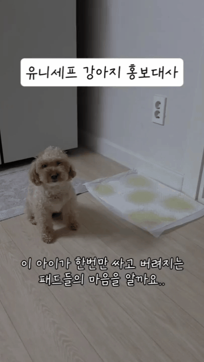 본문 이미지 - 인스타그램에 올린 룽지의 영상(인스타그램 rooong._.z 제공) ⓒ 뉴스1
