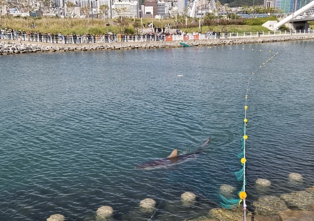 많이 본 뉴스