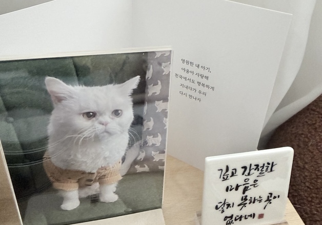 반려동물 떠나보낸 슬픔도 돌본다…서울시 '펫로스' 심리지원