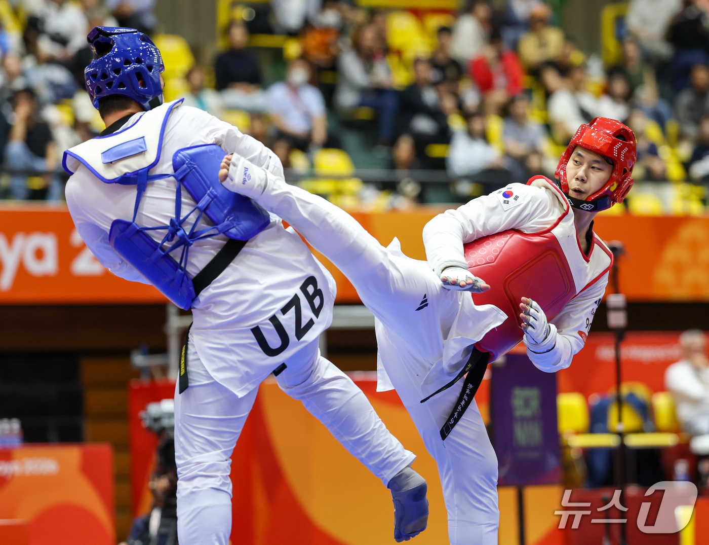 (도요하시=뉴스1) 안은나 기자 = 대한민국 강상현이 3일 일본 도요하시 체육관에서 열린 2026 아이치·나고야 아시안게임 태권도 남자 +80㎏급 준결승전에서 우즈베키스탄 마블로노 …