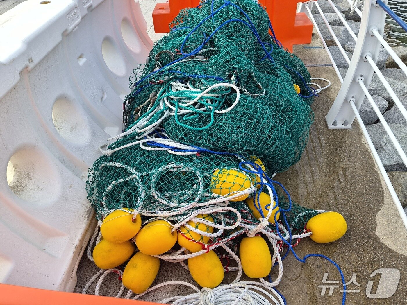본문 이미지 - 부캉이 구조 작전이 두 차례 실패하자 부산시가 3일 오후 그물을 철거했다. 2026.10.3 뉴스1 ⓒ News1 임순택 기자