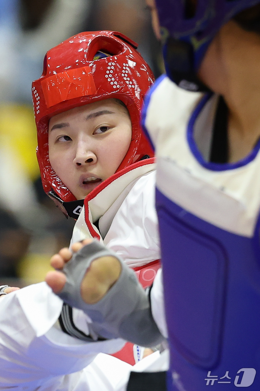 (도요하시=뉴스1) 안은나 기자 = 대한민국 송다빈이 3일 일본 도요하시 체육관에서 열린 2026 아이치·나고야 아시안게임 태권도 여자 +67㎏급 결승전에서 중국 무원저와 맞대결을 …