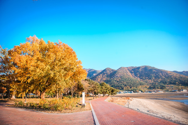 남해군, 숲·바다 잇는 '신전숲 정원화 사업' 추진