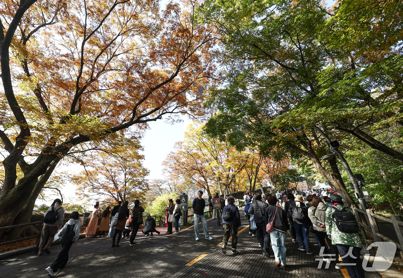 (서울=뉴스1) 김민지 기자 = 서울 낮 기온이 18도까지 오르는 등 포근한 날씨를 보인 30일 서울 N서울타워에서 관광객들이 가을 단풍을 즐기고 있다. 2026.10.30/뉴스1 …