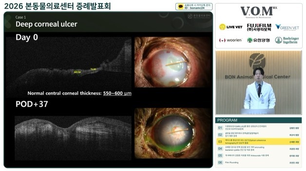 "힘줄 파열부터 난치성 방광염까지"…본동물의료센터 증례 공유