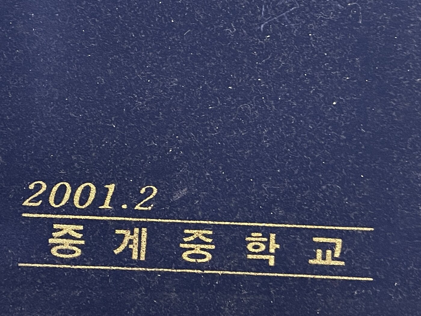 본문 이미지 - 온라인 커뮤니티 갈무리