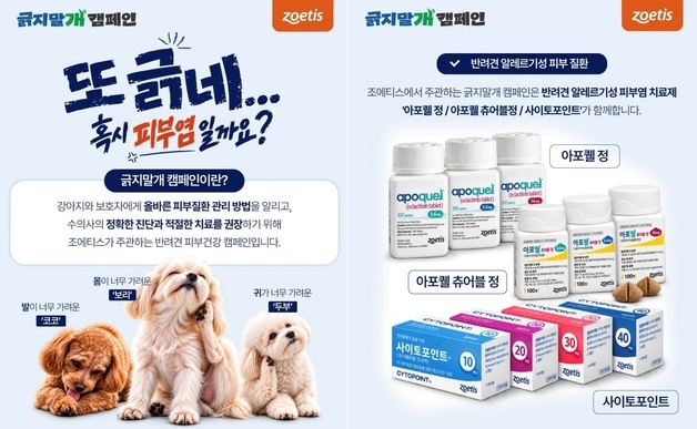 우리 강아지, 혹시 피부염?…한국조에티스, 긁지말개 캠페인 진행