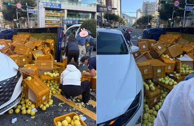 사과 트럭 넘어지자 달려온 시민들…부산의 '따뜻한 풍경' 감동