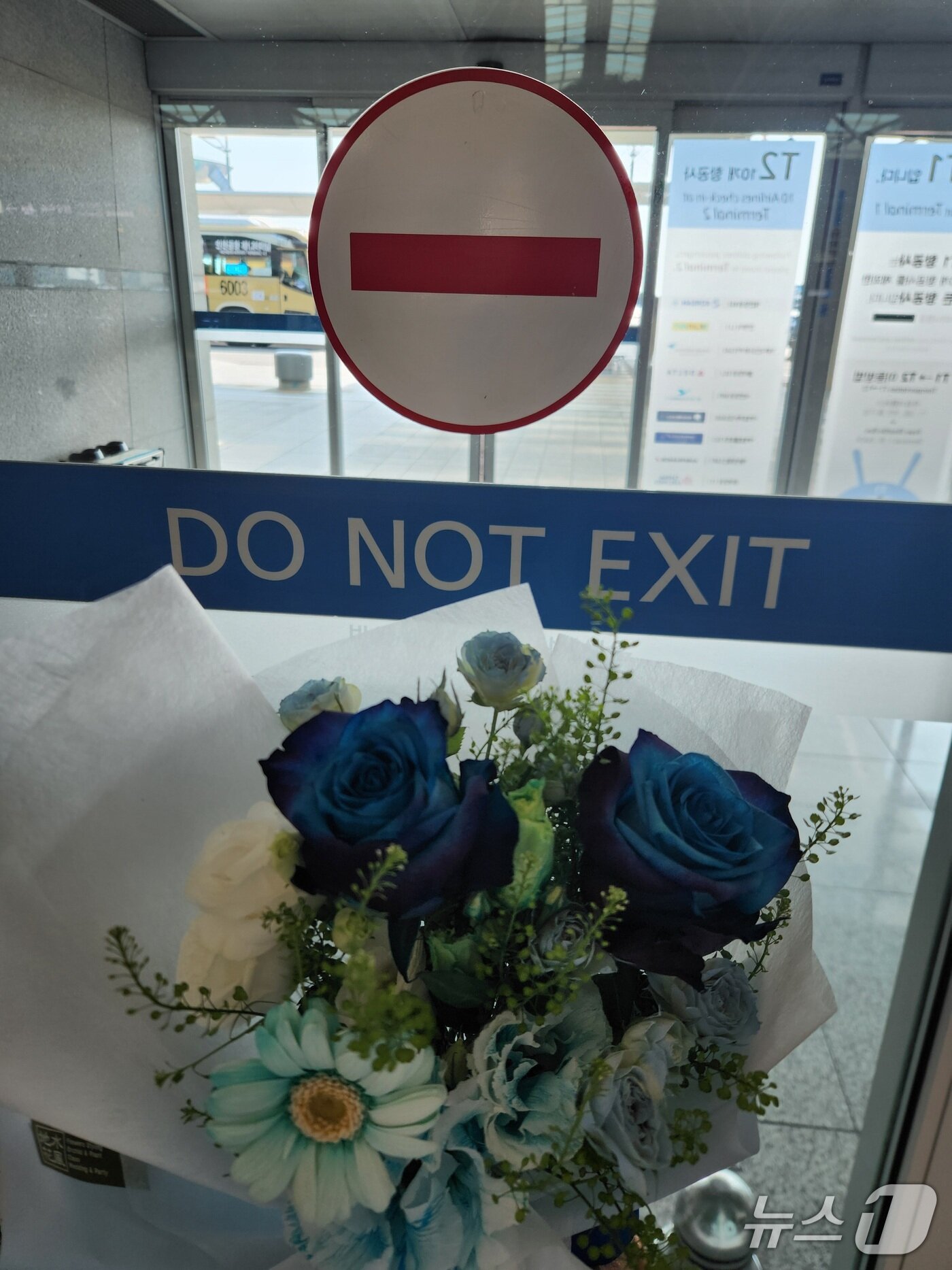 본문 이미지 - 공항 난민들과 함께한 파란장미 꽃다발.(사단법인 두루 제공)