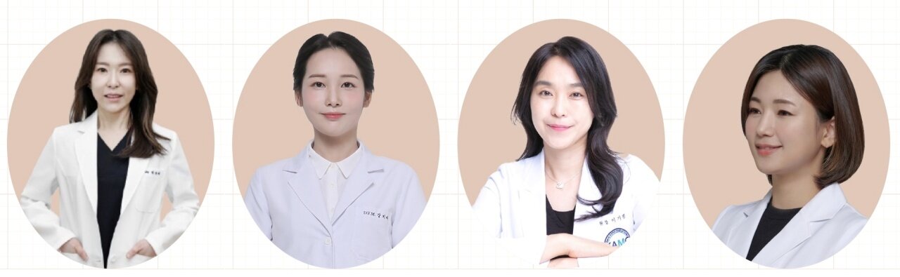 본문 이미지 - 궁팡스쿨 강의하는 박다예 강지아 이기쁨 남예림 수의사 ⓒ 뉴스1