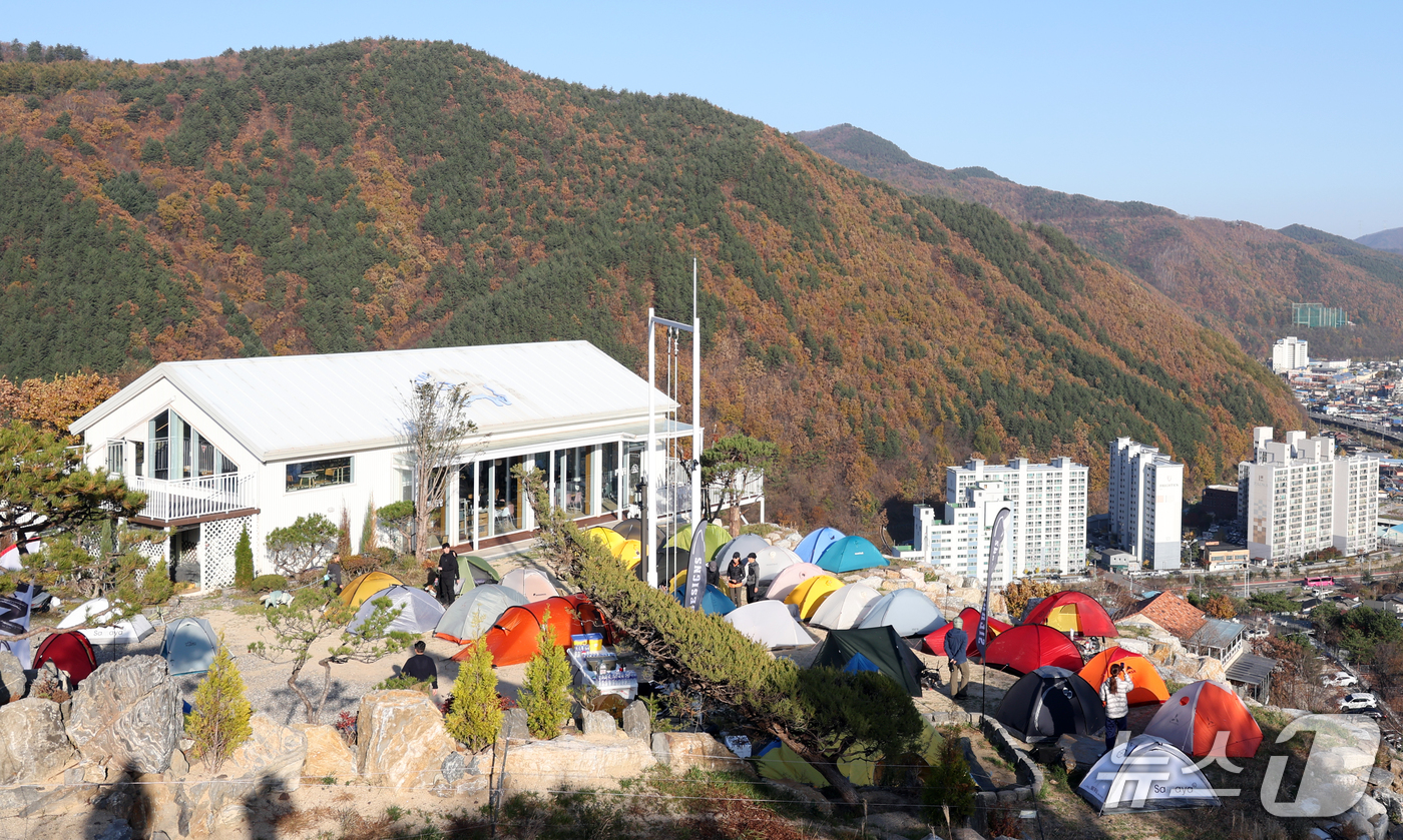 (태백=뉴스1) 김명섭 기자 = 31일 강원도 태백시 몽토랑산양목장에서 열린 '태백행 단풍편' 백패킹 행사에 모인 백패커들이 깊어가는 가을을 즐기고 있다.이번 행사는 붉고 노랗게 …