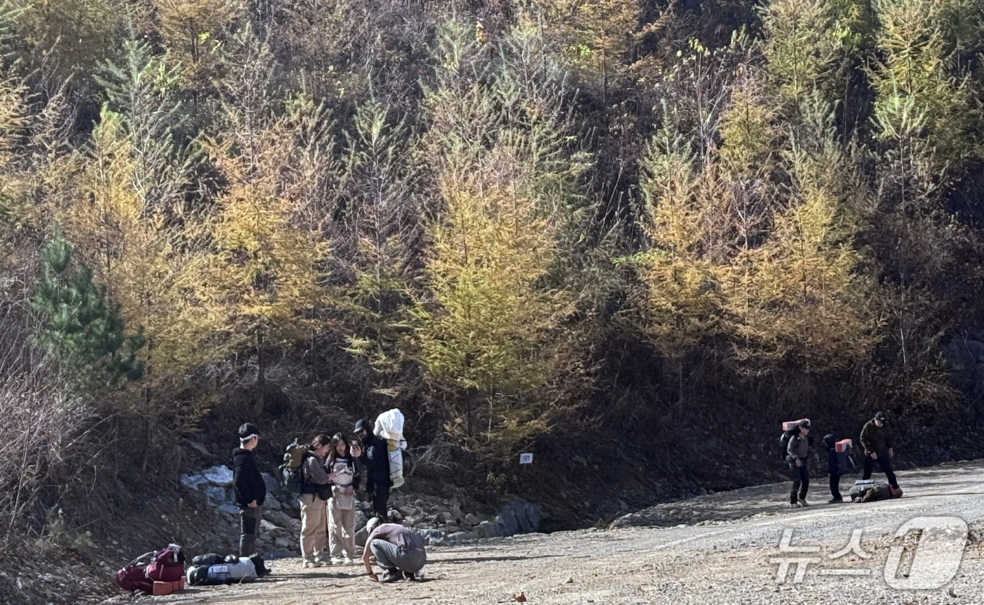 (태백=뉴스1) 김명섭 기자 = 31일 강원도 태백시 몽토랑산양목장에서 열린 '태백행 단풍편' 백패킹 행사에 모인 백패커들이 트레킹을 하고 있다.이번 행사는 붉고 노랗게 물든 수려 …