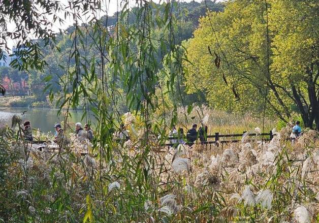 "연휴 끝나니 아쉬워서"…쌀쌀해도 경기 나들이객 '북적'