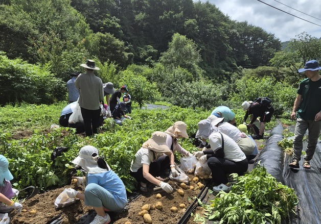 인제 '숲슐랭가이드' 체류형 농촌관광 결실…외지인 유입·소득 창출