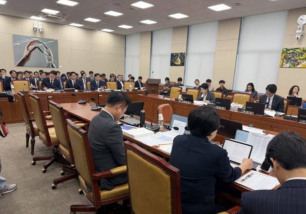 [국감브리핑]배경훈 "AI 3대 메가 키운다…연말 '모두의AI' 출시"