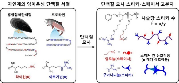 UNIST·홍익대·DGIST, 세포 속 생체분자 '뭉침' 원리 규명