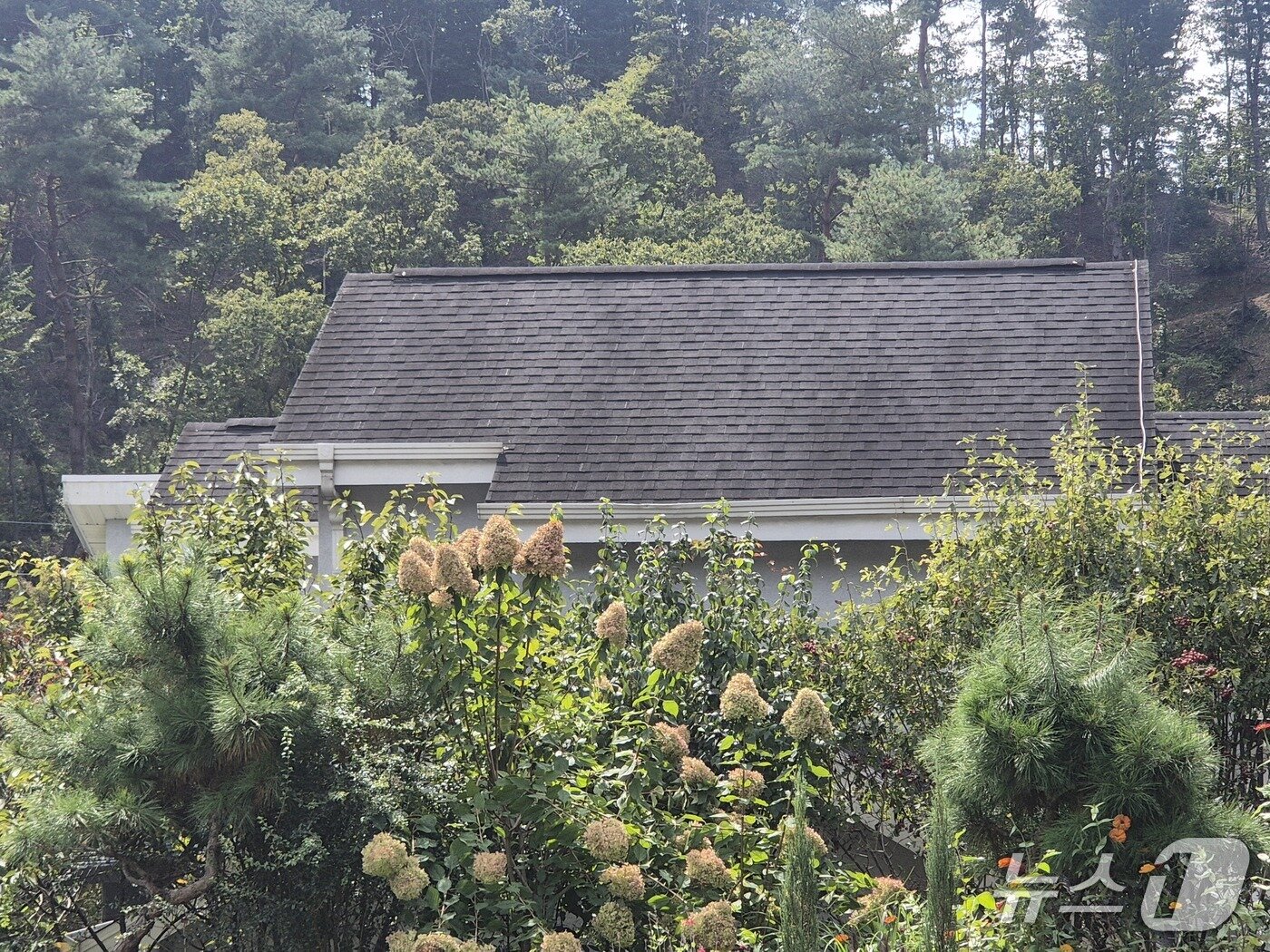본문 이미지 -  지난달 26일 살인사건이 발생한 경기 남양주시 수동면 소재 별장./뉴스1 양희문 기자