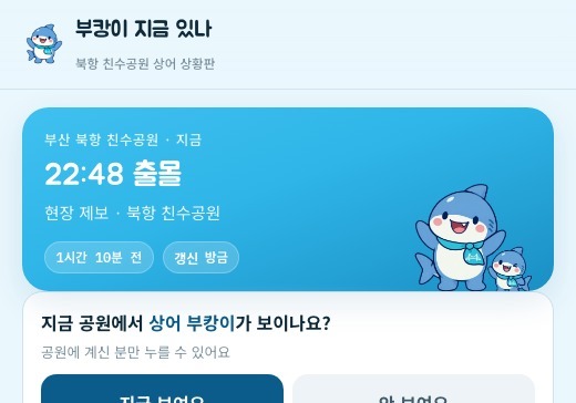 '부캉이 지금 있나'…부경대생, 상어 목격 웹서비스 개발