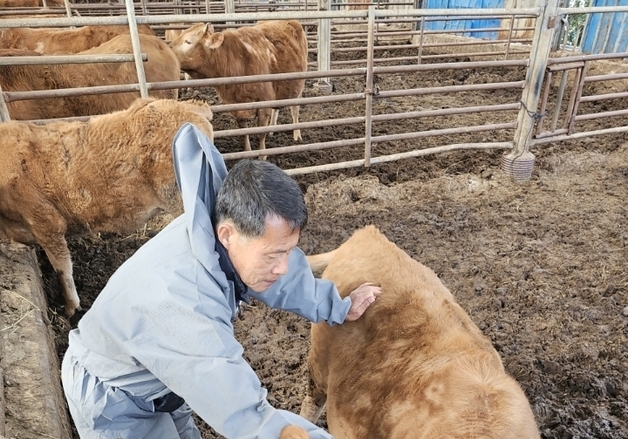 가평군, 구제역·고병원성 AI 특별방역…24시간 대응체계 가동