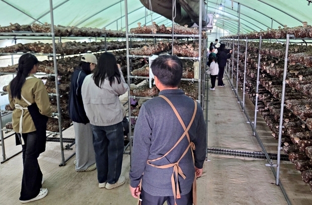 증평군농업기술센터, 도시 소비자 그린투어 진행