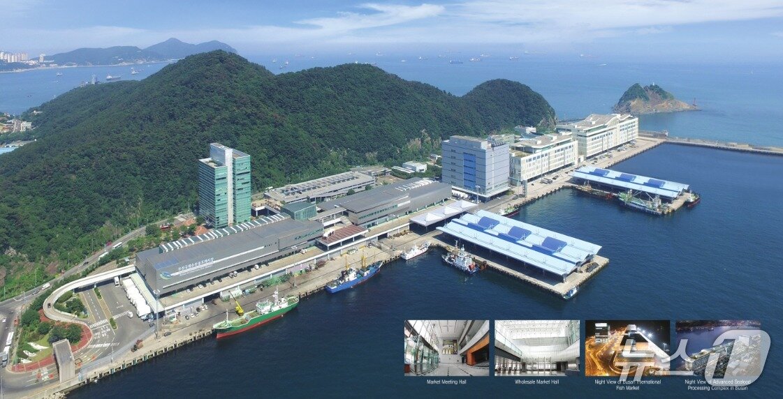 본문 이미지 - A 사가 입주한 국제수산물도매시장 전경 (부산시 제공. 재판매 및 DB 금지)