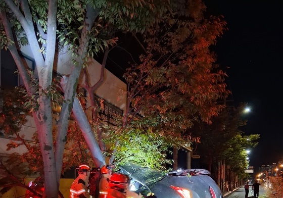 광주 서구서 가로수 들이받은 차량 전도…30대 운전자 숨져