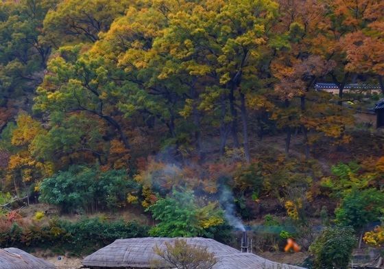 봉화 닭실·경주 양동·청송 덕천…옛 마을서 만나는 고즈넉한 가을