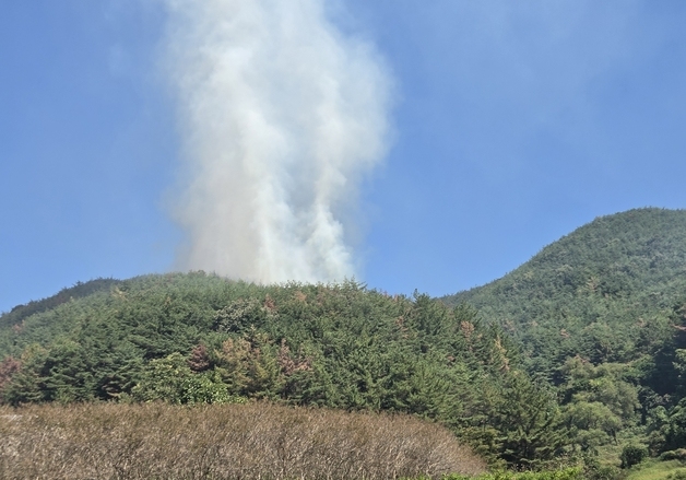 진주 명석면서 산불…1시간17분만에 진화(종합)