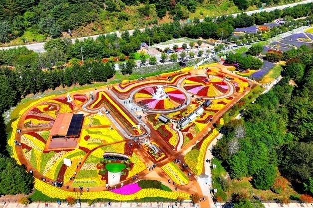 "지금이 진짜 절정"…인제가을꽃축제 18일까지 일주일 연장