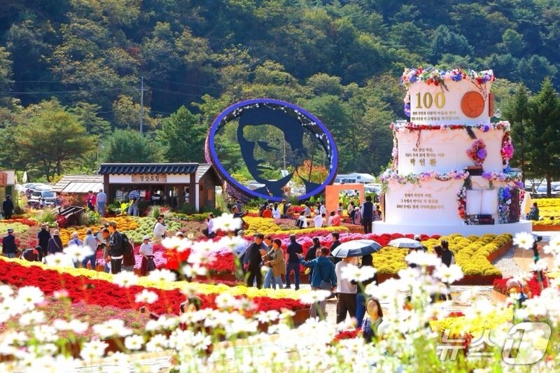 본문 이미지 - 인제가을꽃축제.(인제군 제공. 재판매 및 DB 금지)/뉴스1