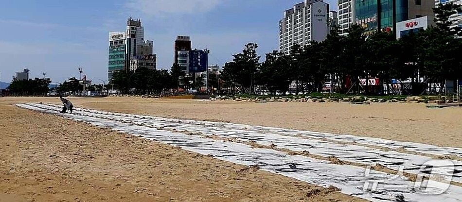 본문 이미지 - 독도 서예가로 활동 중인 김동욱 씨가 7일 훈민정음 반포 580돌, 한글날 제정 100주년을 맞아 경북 포항시 북구 영일대해수욕장 백사장에서 훈민정음 퍼포먼스를 펼쳤다. (김동욱 씨 제공. 재판매 및 DB 금지) 2026.10.7 ⓒ 뉴스1 최창호 기자