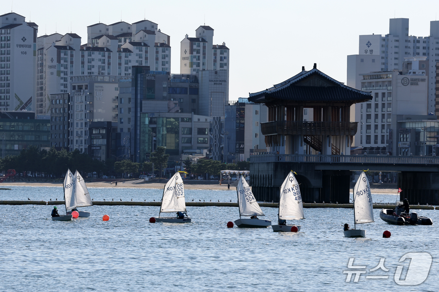 (포항=뉴스1) 최창호 기자 = 7일 오후 경북 포항시 북구 영일대해수욕장 해상누각 앞 해상에서 딩기요트 선수들이 훈련을 하고 있다. 2026.10.7/뉴스1